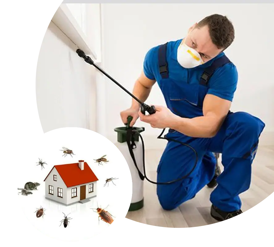 Pest control technician treating a home with a sprayer